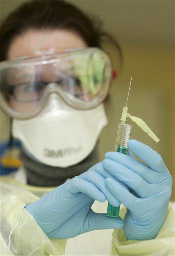 Grippe porcine: les laboratoires se lancent dans la course au vaccin