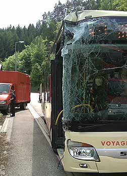 Busfahrer schwer verletzt