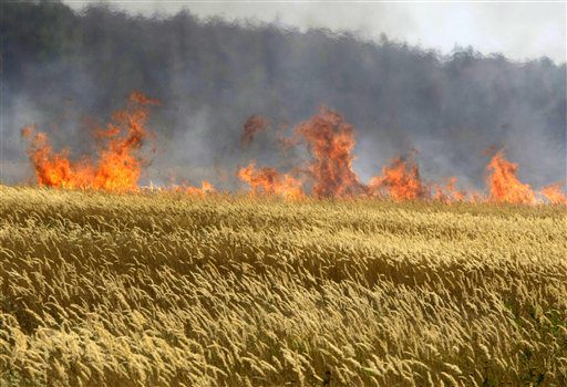 Verzweifelter Kampf gegen Waldbrände in Russland